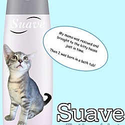 Thumbnail photo of Suave #4