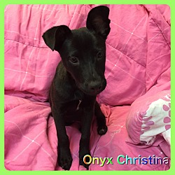 Thumbnail photo of Onyx Christina #2