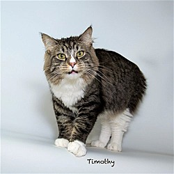 Thumbnail photo of Timothy #2