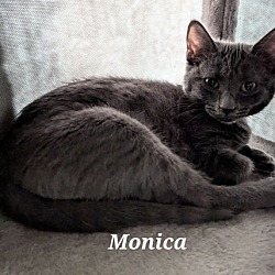 Thumbnail photo of Monica #3