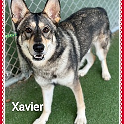 Thumbnail photo of XAVIER #2