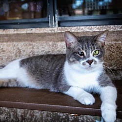 Thumbnail photo of Carlos #1