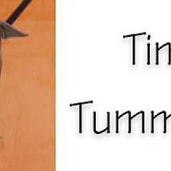 Thumbnail photo of Timmy Tummy Turn #2