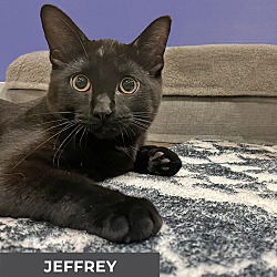 Thumbnail photo of Jeffrey #2