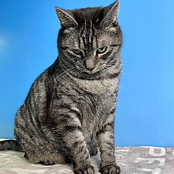 Thumbnail photo of Marley #1