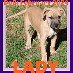 Thumbnail photo of LADY #1