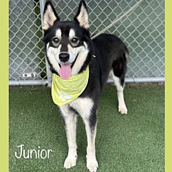 Thumbnail photo of JUNIOR #4