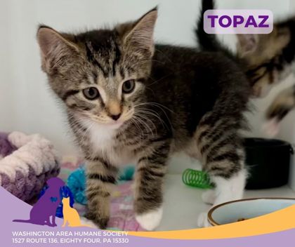 Photo of Topaz