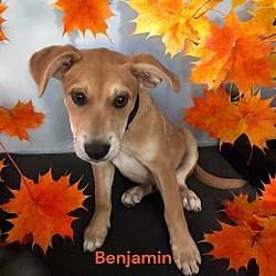 Thumbnail photo of Benjamin #2