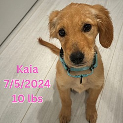 Thumbnail photo of Kaia #3