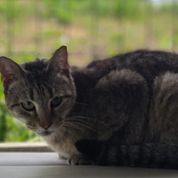 Photo of Chloe