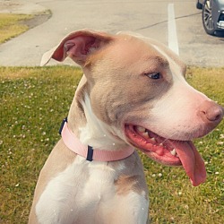 Photo of Myah