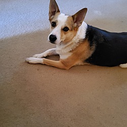 Photo of Abby