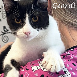 Thumbnail photo of Cutie GEORDI #1