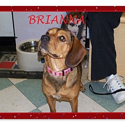 Thumbnail photo of BRIANNA #1
