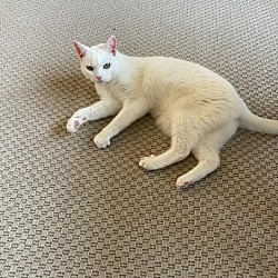 Photo of Ayla