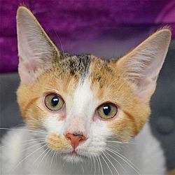 Photo of Maylee