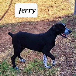Thumbnail photo of JERRY #2
