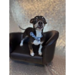 Photo of BEEFCAKE