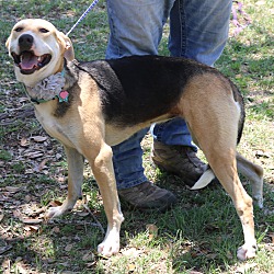 Photo of Rosie