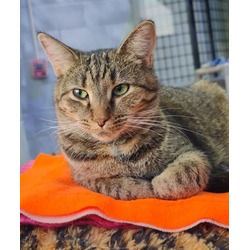 Photo of PEACH