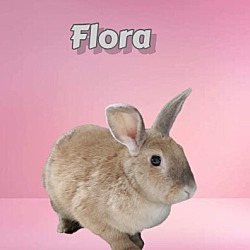 Photo of Flora (bonded to Alder)
