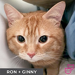 Thumbnail photo of Ginny #3