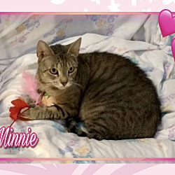Photo of Minnie