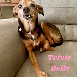 Thumbnail photo of TRIXIE BELLE #4