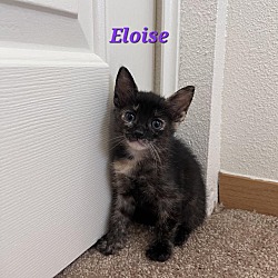Photo of Eloise