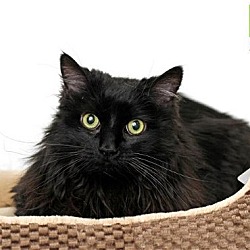 Thumbnail photo of Tabitha #4
