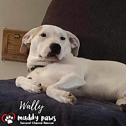 Photo of Wally