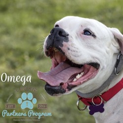 Photo of Omega
