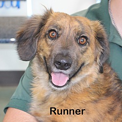 Photo of Runner