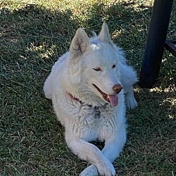 Photo of Luna