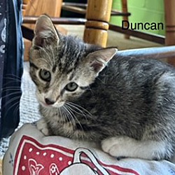 Thumbnail photo of Duncan #4