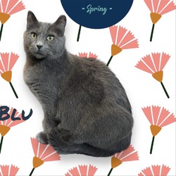 Thumbnail photo of Blu #3