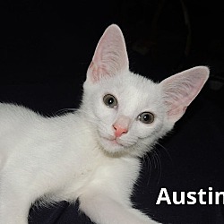 Thumbnail photo of Austin #1