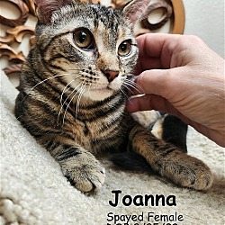 Thumbnail photo of Joanna #1