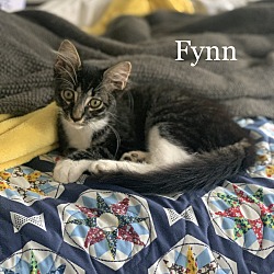 Photo of Fynn and Octavia