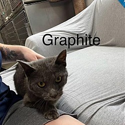 Photo of Graphite