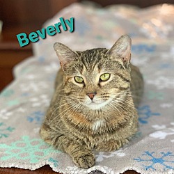Photo of Beverly