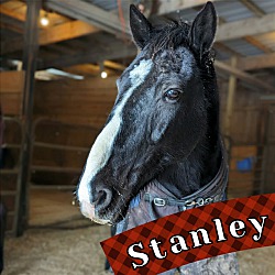 Photo of Stanley