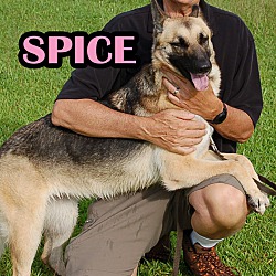 Photo of Spice & Sugar
