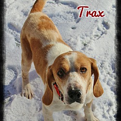 Thumbnail photo of Trax #2