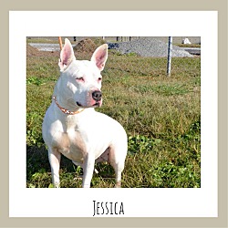 Thumbnail photo of Jessica #1