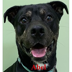 Photo of Able