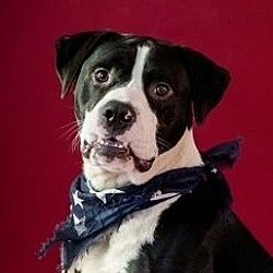 Photo of Axle