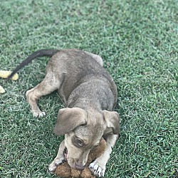 Thumbnail photo of Makena ~ meet me! #4