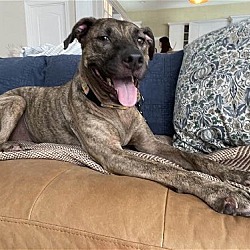 Photo of Ella Rae